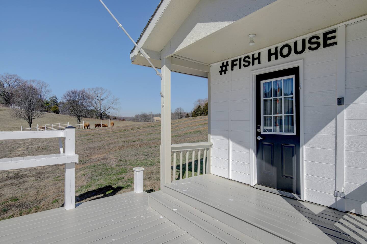 Inside FishHouse Tiny Home, a lakeside tiny home at Cedar Pond Farms — our fluffy Highland cow farm just outside the Smoky Mountains.